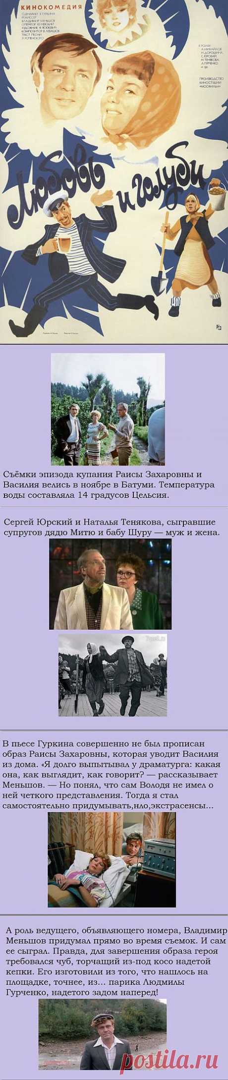 Интересные факты о советской кинокомедии «Любовь и голуби».