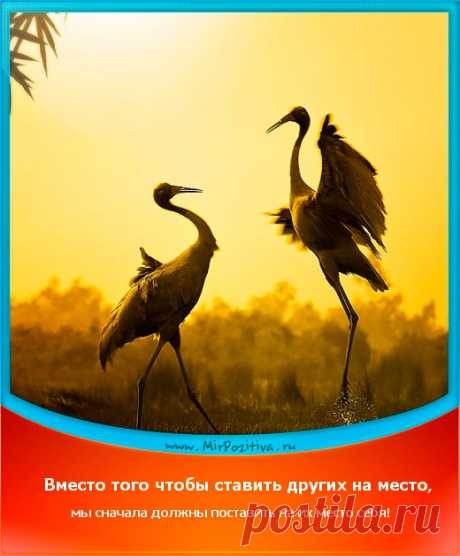 позитивчик дня: Вместо того чтобы ставить других на место, мы сначала должны поставить на их место себя