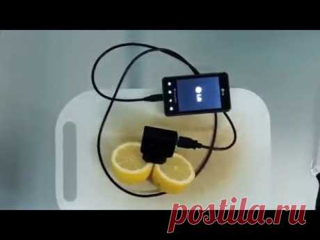 Как зарядить свой телефон при помощи лимона, если ты на природе :: forumroditeley.ru - форум родителей и о детях