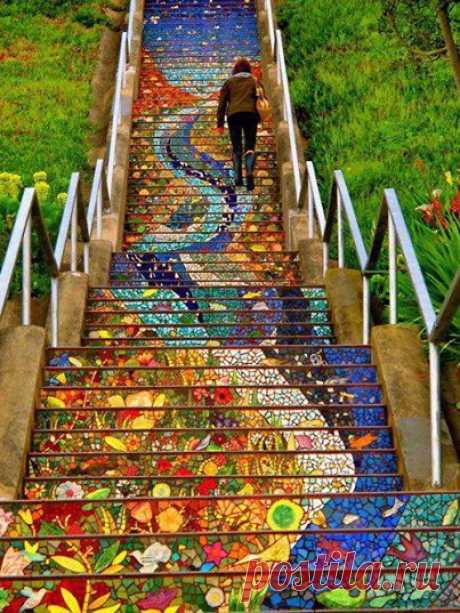 Знаменитая лестница The 16th Avenue Tiled Steps. Состоит из 163 ступенек. Была создана в 2005 году ирландским специалистом по керамике Aileen Barr и мозаичным художником Colette Crutche. Работу помогали выполнять 300 волонтеров в течение 2 …Еще
Фотография: Знаменитая лестница The 16th Avenue Tiled Steps. Состоит из 163 ступенек. Была создана в 2005 году ирландским специалистом по керамике Aileen Barr и мозаичным художником Colette Crutche. Работу помогали выполнять 300 волонтеров в течение 2,5м