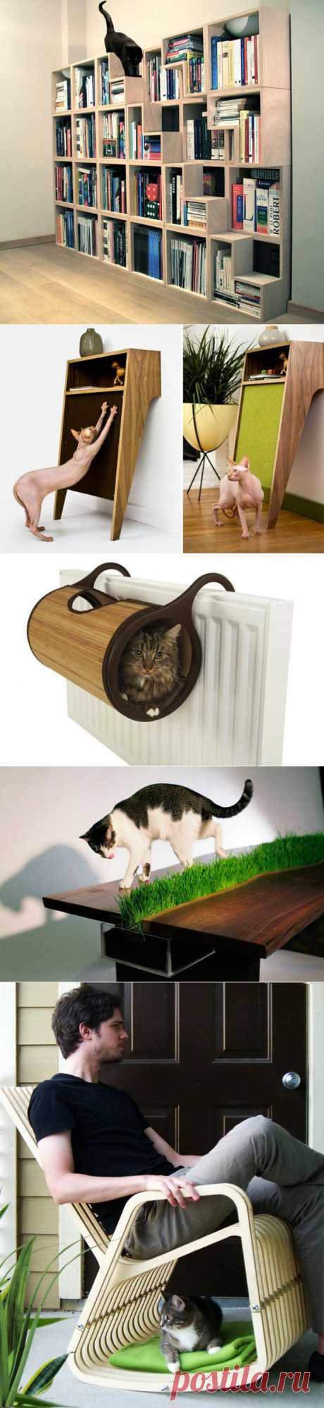 20 потрясающих идей дизайна мебели и аксессуаров для любителей кошек