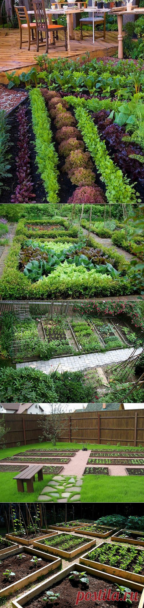 Декоративный огород: как сделать красивые грядки на участке | Наш уютный дом