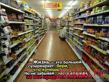 Жизнь это – игра, гора, спектакль …  в общем чем только не называли жизнь. У каждого, наверняка, есть своё определение. Если немного поднапрячься, то можно довольно много найти интересных метафор, цитат и афоризмов о жизни.