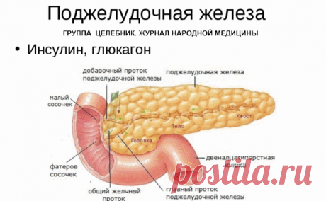 (23) Одноклассники