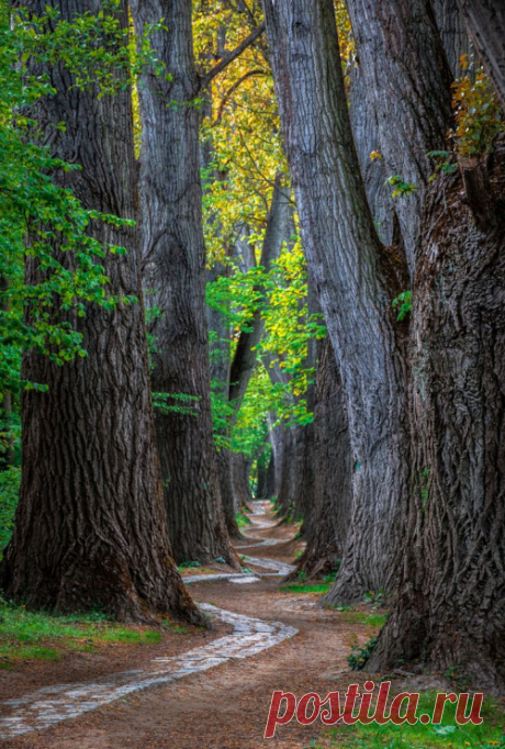 Enchanting Photos Germany photo via sian