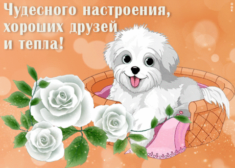 Чудесная открытка Хороших друзей и тепла! - Скачать бесплатно на otkritkiok.ru