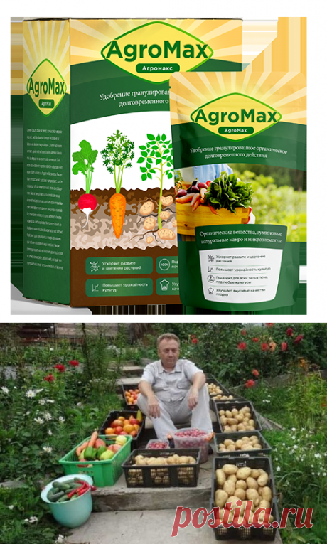 После применения биоудобрения «AgroMax» на дачном участке не знали, куда девать овощи. Урожайность повысилась в разы! Простой способ использования
