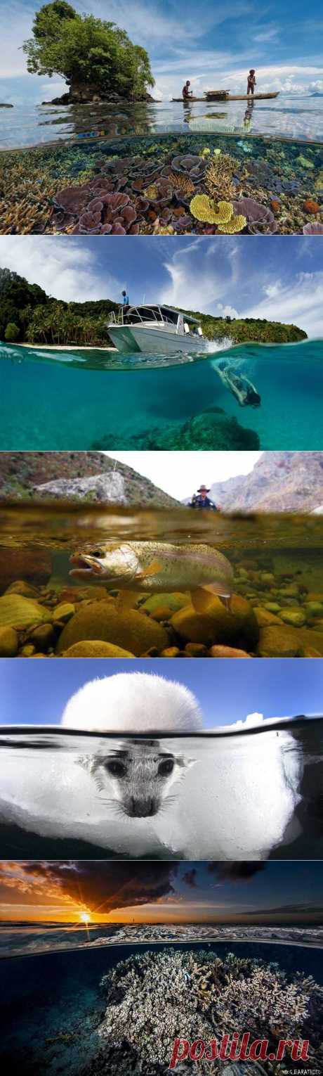 34 невероятные фотографии, показывающие, что скрывается под поверхностью воды