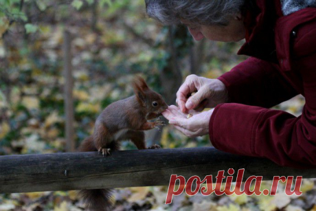 20 лучших фотографий недели (16.12.2013-22.12.2013) | В мире интересного