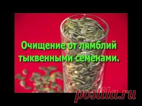 Как очиститься от лямблий. Просто и безопасно, подходит для детей. - YouTube