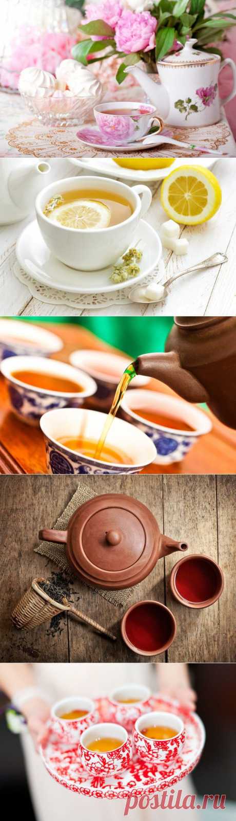 Как нельзя пить чай: 10 запретов в китайской чайной культуре | Советы Народной Мудрости