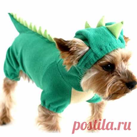 Щенок Pet хэллоуин динозавр костюм водонепроницаемый пальто зеленого пальто наряды перемычек одежда одежда бесплатная доставка купить на AliExpress