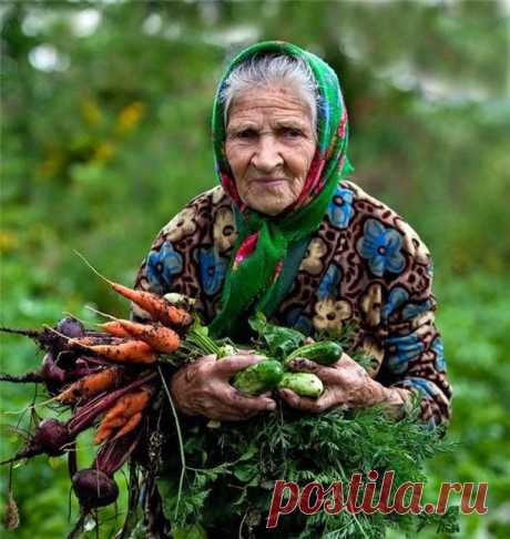 Новый закон фактически возвращает крепостничество на шести сотках