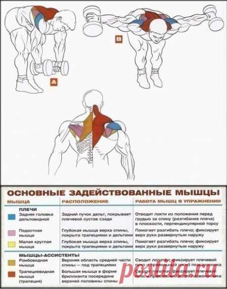 Стратегия Тренировки Массивных Плеч / Спорт Сильных!