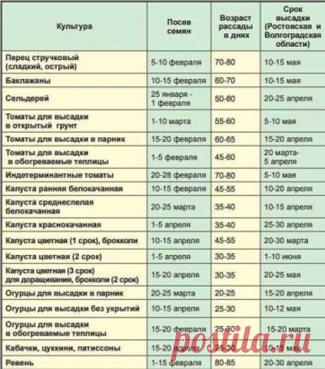 Календарь посадки рассады на этот год. Выбираем благоприятные дни для каждой культуры.