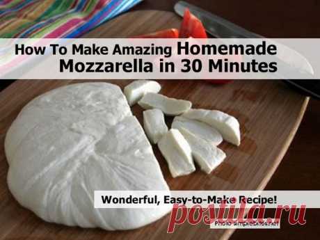 How To Make Amazing Homemade Mozzarella in 30 Minutes