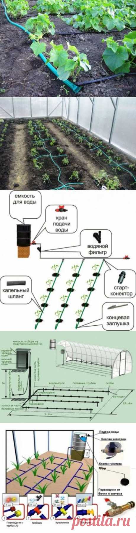 (+1) тема - Инструкция по монтажу капельного полива в теплице своими руками | 6 соток