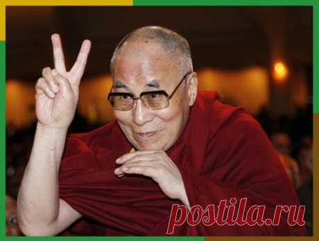 Проникновенные слова великого Далай-ламы, которые тронут и заставят задуматься любого человека | Книжный клуб авантюристов | Яндекс Дзен