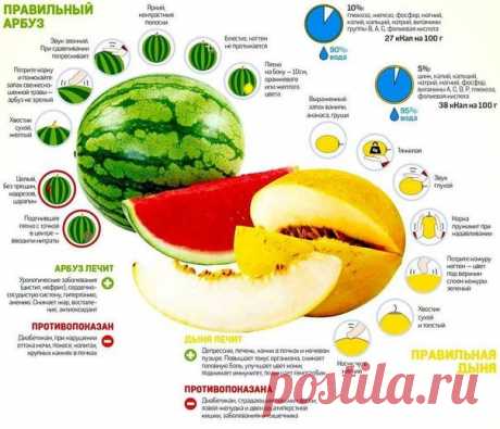 Как правильно выбрать дыню и арбуз
