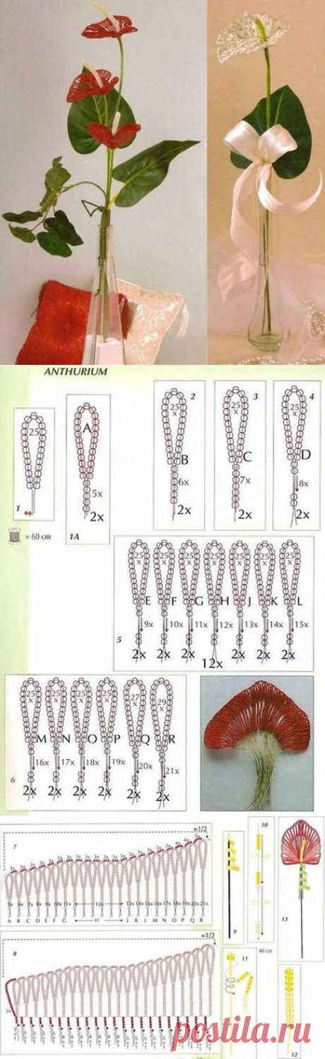 Антуриум из бисера схема плетения. Цветок антуриум из бисера | Laboratory household
