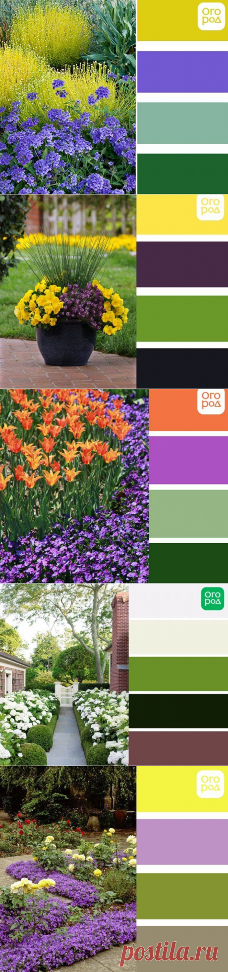 Основы цветового дизайна в саду | Стиль (Огород.ru)