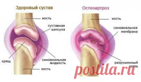 Одноклассники