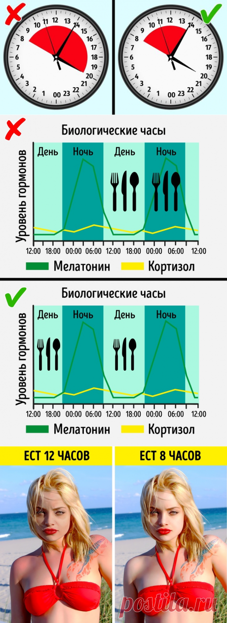 Диета, основанная на открытии, за которое дали Нобелевскую премию. Она поможет не только похудеть, но и замедлить старение