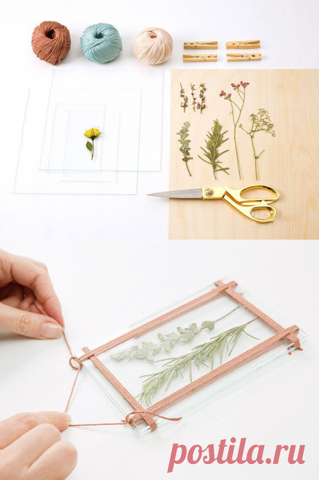 How to make a pressed flower frame