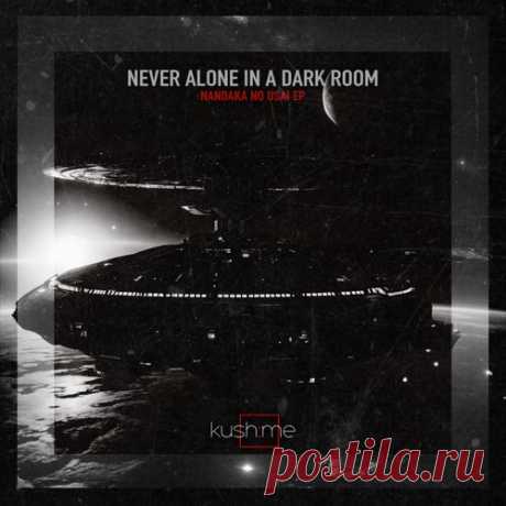 Never Alone In A Dark Room - Nandaka No Usai [KUSH ME]