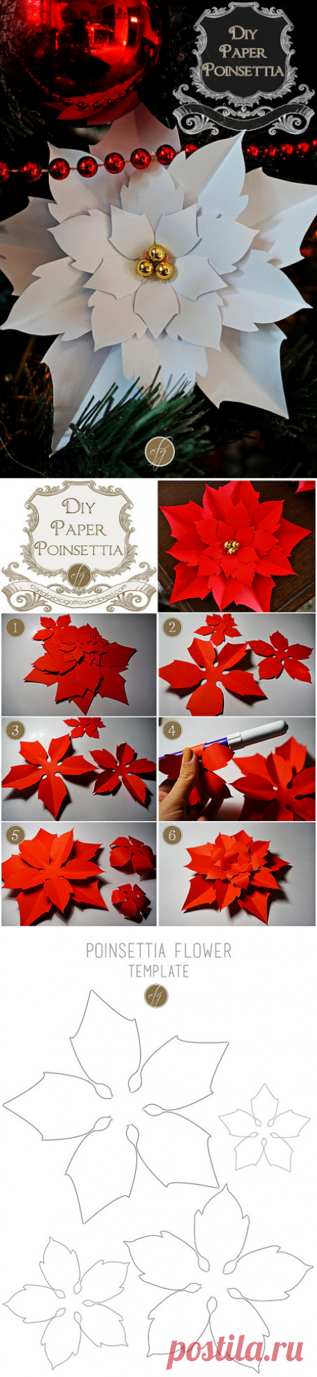 DIY Paper Poinsettia {Free Template} | Carta, forbici, gatto
