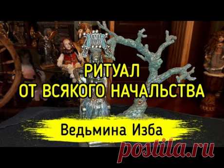 ОТ ВСЯКОГО НАЧАЛЬСТВА. ДЛЯ ВСЕХ. ВЕДЬМИНА ИЗБА ▶️ ИНГА ХОСРОЕВА