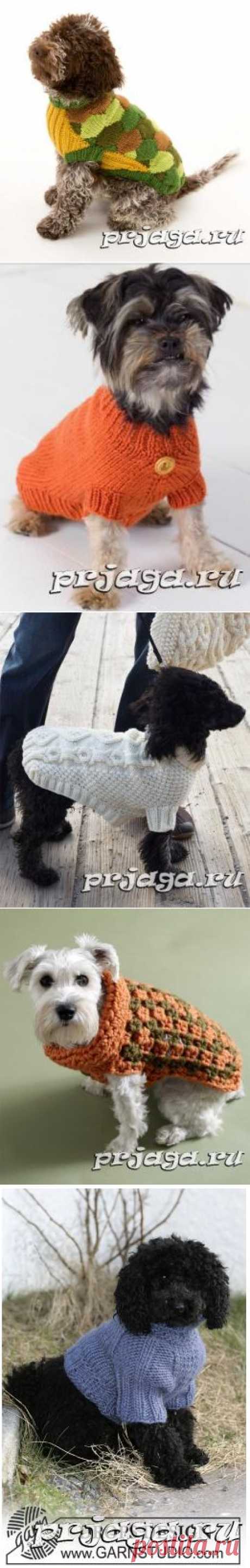 Вязание для собак и кошек