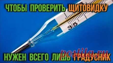 Чтобы проверить свою щитовидку, нужен только градусник Самые полезные советы