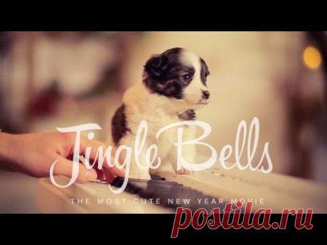 Jingle Bells українською (New Year 2018) – Шпилясті кобзарі (Ukraine)