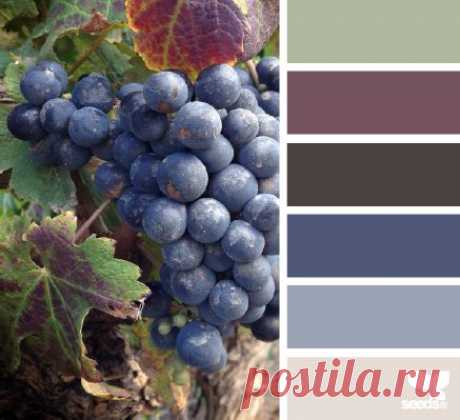 design seeds | vineyard hues | for all who ♥ color