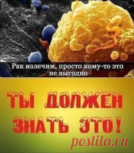 РАК – ЭТО ГРИБКОВОЕ ЗАБОЛЕВАНИЕ… И ОНО ИЗЛЕЧИМО