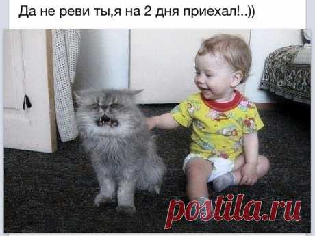 Мой Мир@Mail.Ru