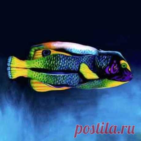 Звериный боди арт (Animal Body Painting) Блог посвящён творчеству фотографов и современных художников со всего мира