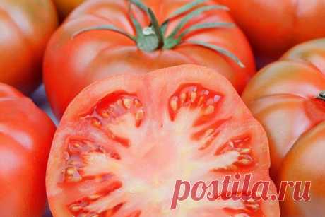 Можно ли есть «пластиковые» помидоры из магазина зимой