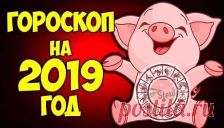 Точный гороскоп на 2019 год свиньи для каждого знака Зодиака | Чаровница и проказница