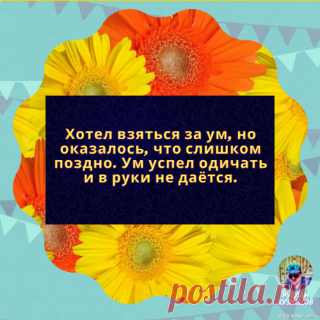 Идеальный сосед тот, кто шумит точно в то же время, что и вы.