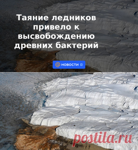 Таяние ледников привело к высвобождению древних бактерий - 17 ноября 2022 | Новости Mail.ru