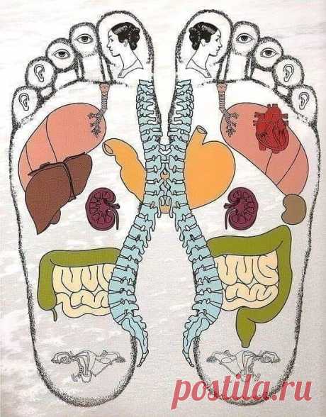 Пин содержит это изображение: Методика массажа стоп КАК СНЯТЬ БОЛЬ В СПИНЕ ПРИ ПОМОЩИ... | Интересный контент в группе Страна Полезных Советов!
