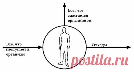 (+1) тема - Концепция воздушного шарика — новый способ похудеть | Диеты со всего света