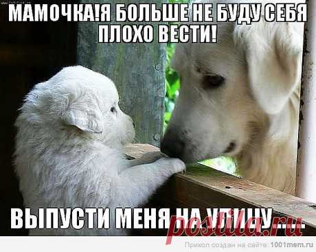 Мой Мир@Mail.Ru