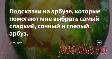 Подсказки на арбузе, которые помогают мне выбрать самый сладкий, сочный и спелый арбуз. Когда приходит пора арбузов, всегда становится мукой выбрать достойный экземпляр.
Первыми в торговых палатках появляются бахчевые культуры из....