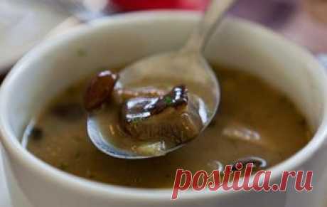 Суп из белых грибов / Грибные супы / TVCook: пошаговые рецепты c фото