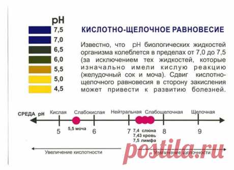 Признаки закисления организма. Как измерить рН слюны и мочи