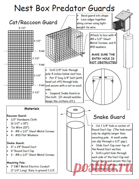 Nest Box Predator Guards