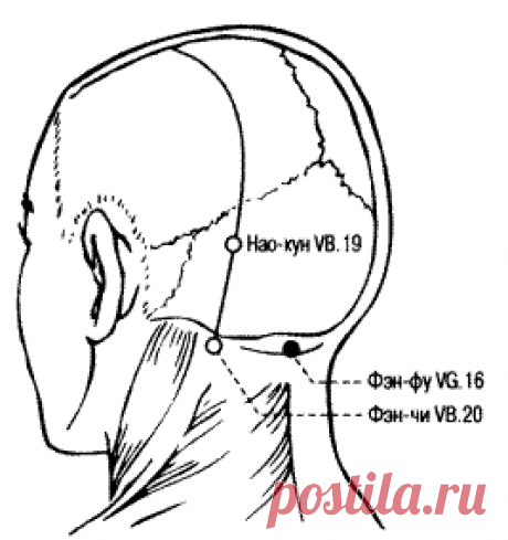 Точка Фэн-Фу и омоложение организма. | КРАСОТА И ЗДОРОВЬЕ